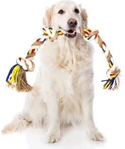 Nobleza Hondentouw - Speeltouw Hond - Flostouw Hond - Trektouw Hond - Lang - Geknoopt -Hondenserie Winkel 1008x1200