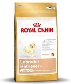 Royal Canin Labrador Retriever Junior 12 KG -Hondenserie Winkel 1012x1200