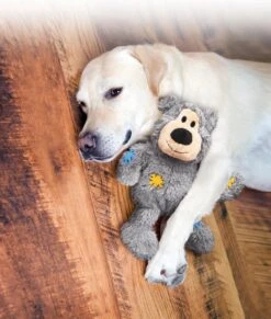 Kong Wild Knots Beer - Hondenspeelgoed - Assorti - M - 25 X 20 X 10 Cm -Hondenserie Winkel 1017x1200 3