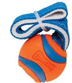Chuckit! Chuckit Ultra Tug – Hondenspeelgoed - Blauw/Oranje – Large - ø 7 Cm -Hondenserie Winkel 1042x1200 1