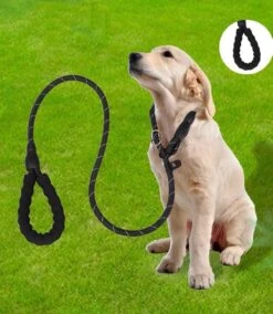Nixnix - Honden Riem - 1,7cm - Zwart - 1,2cm Dik - Sliplijn - Nylon - Hondenriem - Verstelbaar - Jachtlijn Met Stop - Leiband 12 Nixnix - Honden Riem - 1,7cm - Zwart - 1,2cm Dik - Sliplijn - Nylon - Hondenriem - Verstelbaar - Jachtlijn Met Stop - Leiband -Hondenserie Winkel 1042x1200 3