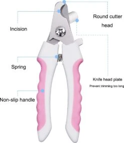 Merkloos Professionele Nagelschaar - Dieren Nagelschaar - Roze - Honden Nagelknipper - Hondennagels - Honden Knip Schaar - Honden Knipsch 10 Merkloos Professionele Nagelschaar - Dieren Nagelschaar - Roze - Honden Nagelknipper - Hondennagels - Honden Knip Schaar - Honden Knipsch -Hondenserie Winkel 1043x1200 2