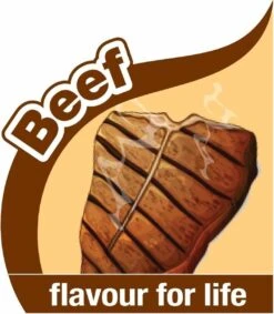 Nylabone Flexi Voor Honden Puppy Teething X Bone Beef Tot 11 Kg 14 Nylabone Flexi Voor Honden Puppy Teething X Bone Beef Tot 11 Kg -Hondenserie Winkel 1048x1200