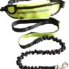Hondenriem Hardloopriem Elastische Reflecterende Geschikt Voor Hardlopen - Handsfree Riem Met Opbergtasje – Hond Looplijn - Schokabsorberend - Groen 1 Hondenriem Hardloopriem Elastische Reflecterende Geschikt Voor Hardlopen - Handsfree Riem Met Opbergtasje – Hond Looplijn - Schokabsorberend - Groen -Hondenserie Winkel 1052x1200