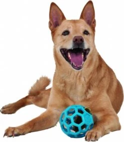 JW HOL-EE ROLLER – Hondenbal Rubber – 15 Cm - Large - 1 Stuk -Hondenserie Winkel 1053x1200 2