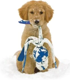 Kong Wubba - Hondenspeelgoed - Assorti - S: 24 Cm 22 Kong Wubba - Hondenspeelgoed - Assorti - S: 24 Cm -Hondenserie Winkel 1063x1200