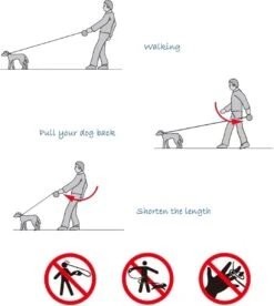 IGOODS - Uitlaatriem - Honden Riem - Katten Riem - Uitlaatriem Voor Dieren Rollijn - Hondenriem - 5 Meter Lang - Grijs -Hondenserie Winkel 1072x1200 1