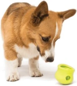 West Paw Toppl Zogoflex - Uitdagend En Sterk Speelgoed Voor Honden - Slowfeeder - Vulbaar Met Voer Of Snacks - Kleur: Groen, Maat: Large 39 West Paw Toppl Zogoflex - Uitdagend En Sterk Speelgoed Voor Honden - Slowfeeder - Vulbaar Met Voer Of Snacks - Kleur: Groen, Maat: Large -Hondenserie Winkel 1075x1200 3