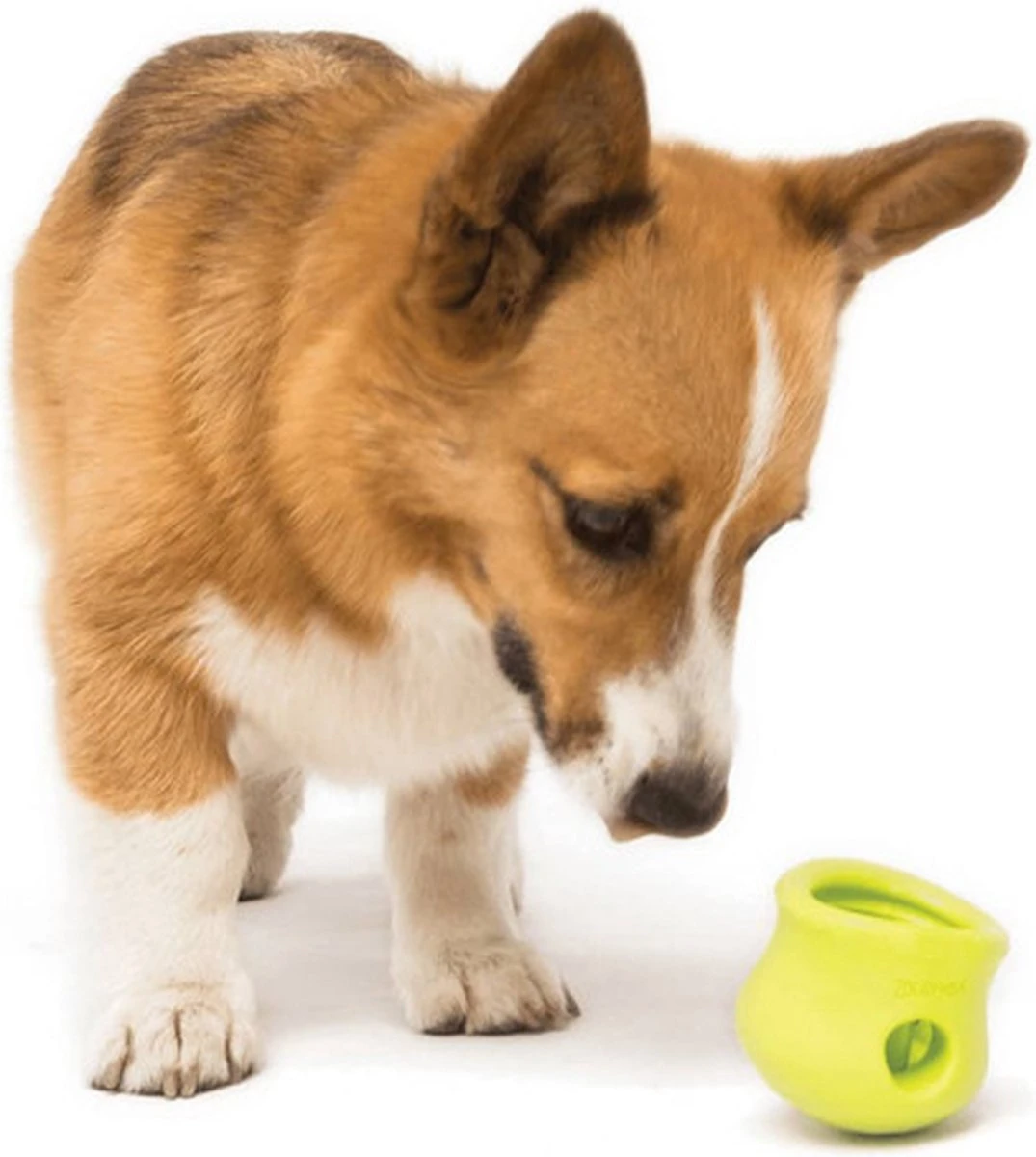 West Paw Toppl Zogoflex - Uitdagend En Sterk Speelgoed Voor Honden - Slowfeeder - Vulbaar Met Voer Of Snacks - Kleur: Groen, Maat: Large 21 West Paw Toppl Zogoflex - Uitdagend En Sterk Speelgoed Voor Honden - Slowfeeder - Vulbaar Met Voer Of Snacks - Kleur: Groen, Maat: Large - Afbeelding 19