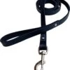 Hondenriem - 220cm – Zwarte Riem - Leren Hondenriem Met Stiksels – 100% Volnerfleer - Hond - Leer - Leder -Hondenserie Winkel 1091x1200 2