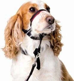 Halti OptiFit Headcollar - Hond - Anti Trekhalsband - Maat M - Voor Labrador, Boxer, Dobermann, Golden Retriever 17 Halti OptiFit Headcollar - Hond - Anti Trekhalsband - Maat M - Voor Labrador, Boxer, Dobermann, Golden Retriever -Hondenserie Winkel 1092x1200 3