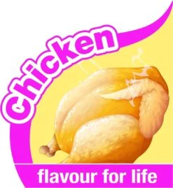 Nylabone Harde Bijters Kluif - Kip - Voor Honden Tot 30 Kg -Hondenserie Winkel 1102x1200 1