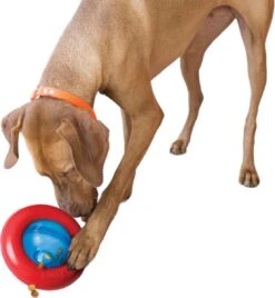 Kong-hondenspeelgoed-slowfeeder-voerdispenser- Gyro- Maat L 7 Kong-hondenspeelgoed-slowfeeder-voerdispenser- Gyro- Maat L -Hondenserie Winkel 1105x1200 2