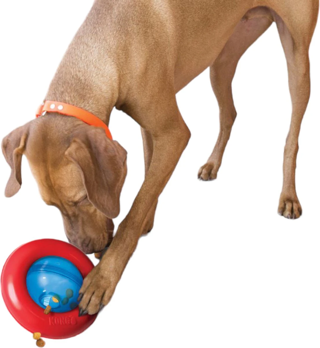 Kong-hondenspeelgoed-slowfeeder-voerdispenser- Gyro- Maat L 5 Kong-hondenspeelgoed-slowfeeder-voerdispenser- Gyro- Maat L - Afbeelding 3