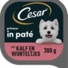 Cesar Primeur Paté Honden Natvoer - Kalf & Worteltjes - 10 X 300 Gr -Hondenserie Winkel 1107x1200