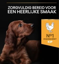 Pro Plan Healthy Start Puppy Large Athletic - Honden Droogvoer - Kip - 12 Kg 28 Pro Plan Healthy Start Puppy Large Athletic - Honden Droogvoer - Kip - 12 Kg -Hondenserie Winkel 1110x1200