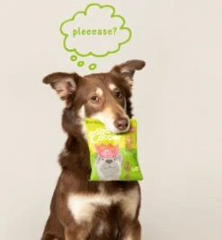 Merkloos Edgard & Cooper Lam & Rund Bites - Voor Honden - Hondensnack - 50g 22 Merkloos Edgard & Cooper Lam & Rund Bites - Voor Honden - Hondensnack - 50g -Hondenserie Winkel 1115x1200 1