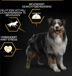 Pro Plan All Sizes Adult Light/Sterilised - Honden Droogvoer - Kip- 3 Kg -Hondenserie Winkel 1146x1200