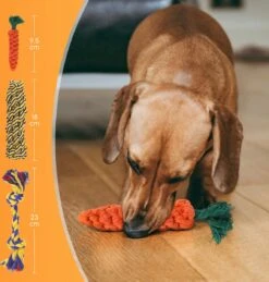 Nobleza Honden Speelgoed Set PLJ - 10 Stuks -Hondenserie Winkel 1146x1200 3