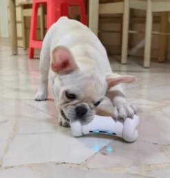 Cheerble Wickedbone|Automatisch Hondenspeeltje|Interactief En Intelligent Speelgoed Voor Honden|App & Bluetooth Bestuurbaar|USB Oplaadbaar 17 Cheerble Wickedbone|Automatisch Hondenspeeltje|Interactief En Intelligent Speelgoed Voor Honden|App & Bluetooth Bestuurbaar|USB Oplaadbaar -Hondenserie Winkel 1147x1200 2