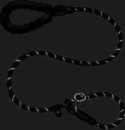 Nixnix - Honden Riem - 1,7cm - Zwart - 1,2cm Dik - Sliplijn - Nylon - Hondenriem - Verstelbaar - Jachtlijn Met Stop - Leiband 13 Nixnix - Honden Riem - 1,7cm - Zwart - 1,2cm Dik - Sliplijn - Nylon - Hondenriem - Verstelbaar - Jachtlijn Met Stop - Leiband -Hondenserie Winkel 1154x1200 5