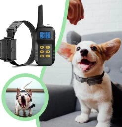 Anti Blafband Met Afstandsbediening - Blafband Voor Honden - Anti Blaf Apparaat Zonder Schok - Twee In Een Trainingshalsband 15 Anti Blafband Met Afstandsbediening - Blafband Voor Honden - Anti Blaf Apparaat Zonder Schok - Twee In Een Trainingshalsband -Hondenserie Winkel 1156x1200 9