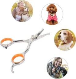 Merkloos Premium Gebogen Trimschaar Honden - Huisdier Trimmen - Hoofd, Poten Ogen & Oren - Kat & Hond Knippen - Veilige Schaar 16 Merkloos Premium Gebogen Trimschaar Honden - Huisdier Trimmen - Hoofd, Poten Ogen & Oren - Kat & Hond Knippen - Veilige Schaar -Hondenserie Winkel 1159x1200 1