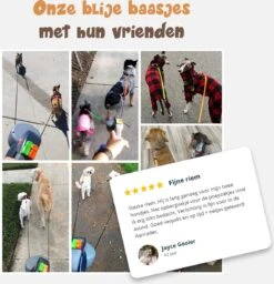 Dubbele Honden Riem – Leiband Hond – Hondenlijn – Looplijn Hond – 2 Honden – 3 Meter – Tot 12kg Per Hond – Reflecterende Lijnen – Met Zaklamp – 360° Draaien – Verstelbaar - Zwart 18 Dubbele Honden Riem – Leiband Hond – Hondenlijn – Looplijn Hond – 2 Honden – 3 Meter – Tot 12kg Per Hond – Reflecterende Lijnen – Met Zaklamp – 360° Draaien – Verstelbaar - Zwart -Hondenserie Winkel 1160x1200 4