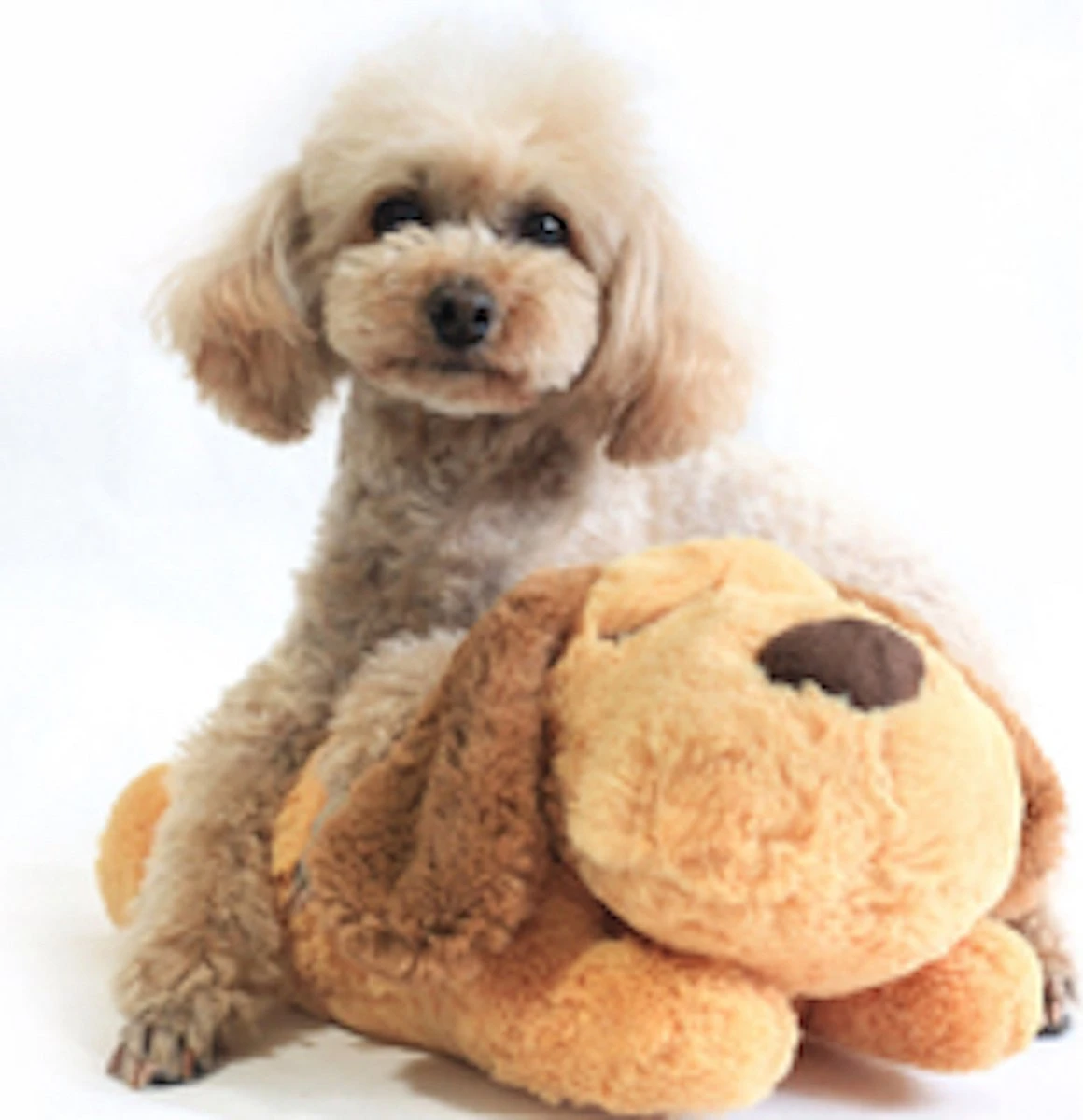 Merkloos Knuffel Met Hartslag Speciaal Voor Puppy's - Snuggle Heart Beat Puppy - Hartslagknuffel - Pluche 7 Merkloos Knuffel Met Hartslag Speciaal Voor Puppy's - Snuggle Heart Beat Puppy - Hartslagknuffel - Pluche - Afbeelding 5