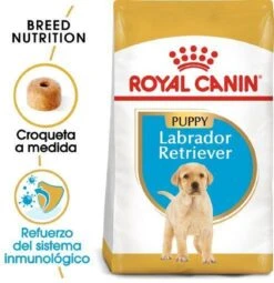 Royal Canin Labrador Retriever Junior 12 KG -Hondenserie Winkel 1162x1200 1