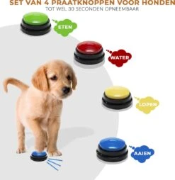 Praatknop Hond - Honden Praatknop - Dog Buttons - Hondenspeelgoed Intelligentie - Dogbuttons - Hondenspeelgoed - Praatknop Voor Honden - Honden Training 9 Praatknop Hond - Honden Praatknop - Dog Buttons - Hondenspeelgoed Intelligentie - Dogbuttons - Hondenspeelgoed - Praatknop Voor Honden - Honden Training -Hondenserie Winkel 1165x1200 2