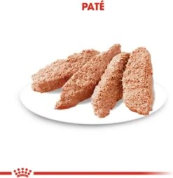 Royal Canin Ccn Sterilised Wet - Hondenvoer - 12x85 G 12 Royal Canin Ccn Sterilised Wet - Hondenvoer - 12x85 G -Hondenserie Winkel 1166x1200 1