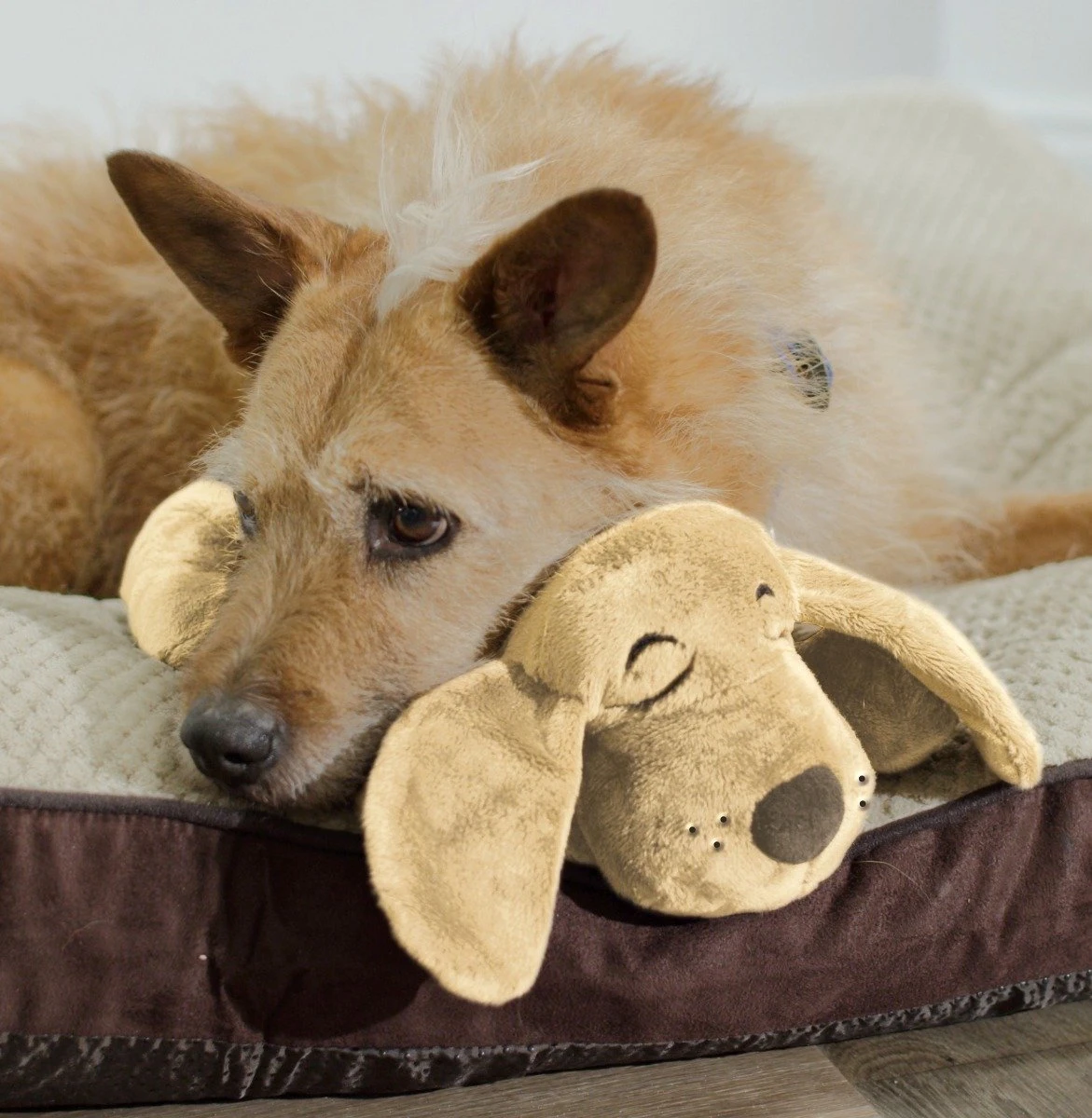 HuggiePup, Hartslagknuffel - Knuffelhond Met Hartslag En Warmhoud Zakje – Warmte Knuffel – Puppy Knuffel – Puppyknuffel Met Hartslag – Snuggle Puppy - Heartbeat 4 HuggiePup, Hartslagknuffel - Knuffelhond Met Hartslag En Warmhoud Zakje – Warmte Knuffel – Puppy Knuffel – Puppyknuffel Met Hartslag – Snuggle Puppy - Heartbeat - Afbeelding 2