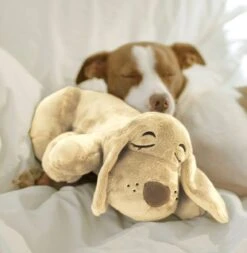 HuggiePup, Hartslagknuffel - Knuffelhond Met Hartslag En Warmhoud Zakje – Warmte Knuffel – Puppy Knuffel – Puppyknuffel Met Hartslag – Snuggle Puppy - Heartbeat 12 HuggiePup, Hartslagknuffel - Knuffelhond Met Hartslag En Warmhoud Zakje – Warmte Knuffel – Puppy Knuffel – Puppyknuffel Met Hartslag – Snuggle Puppy - Heartbeat -Hondenserie Winkel 1171x1200 4