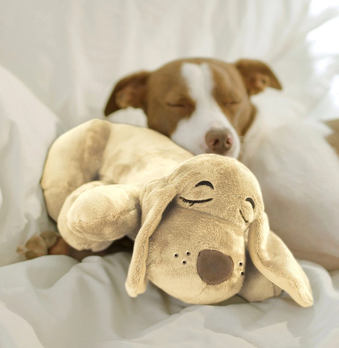 HuggiePup, Hartslagknuffel - Knuffelhond Met Hartslag En Warmhoud Zakje – Warmte Knuffel – Puppy Knuffel – Puppyknuffel Met Hartslag – Snuggle Puppy - Heartbeat 7 HuggiePup, Hartslagknuffel - Knuffelhond Met Hartslag En Warmhoud Zakje – Warmte Knuffel – Puppy Knuffel – Puppyknuffel Met Hartslag – Snuggle Puppy - Heartbeat - Afbeelding 5