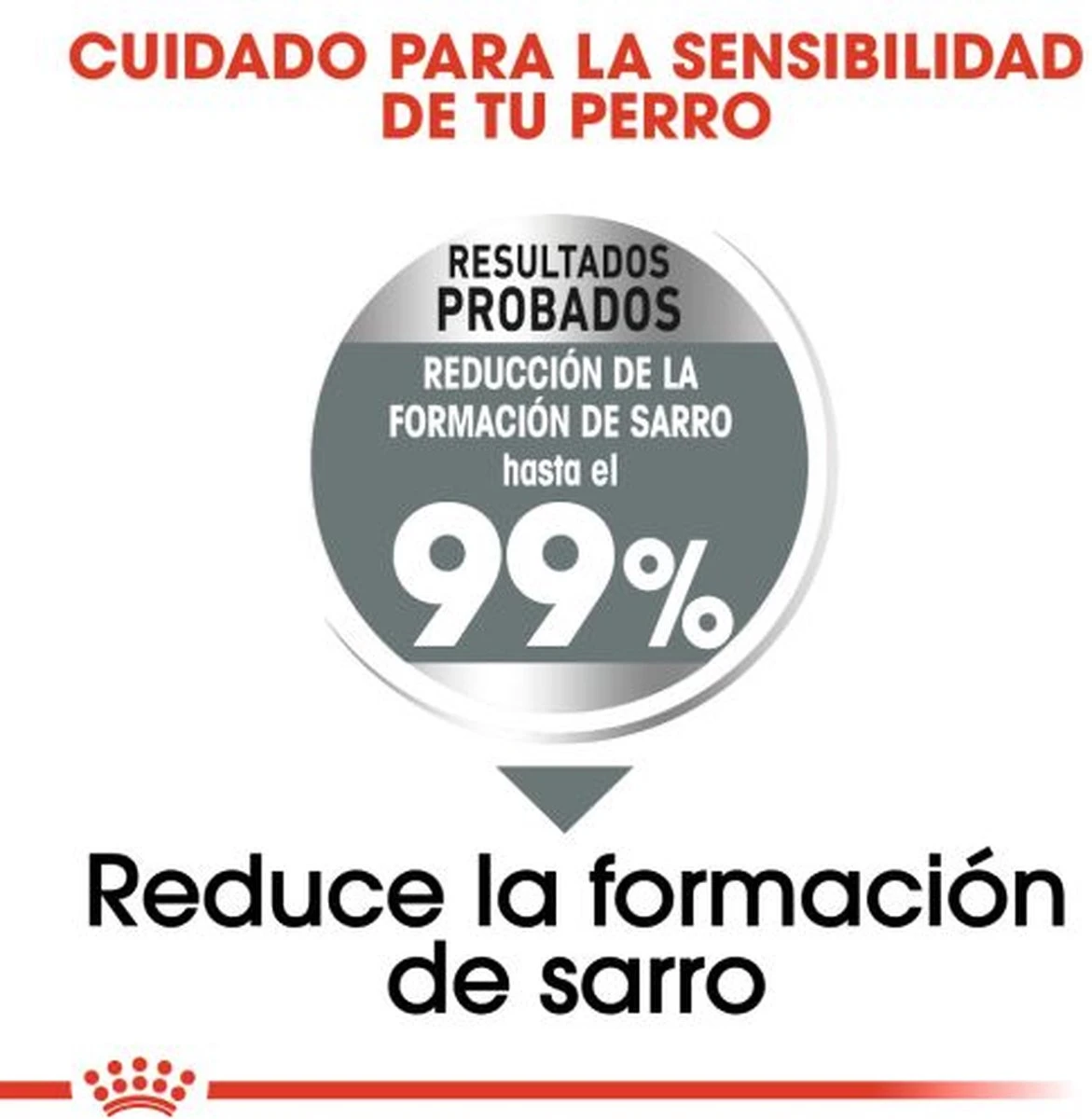 Royal Canin Medium Dental Care - 10 Kg 8 Royal Canin Medium Dental Care - 10 Kg - Afbeelding 6