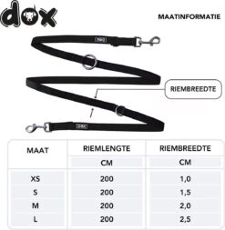 DDOXX Hondenriem Air Mesh, 3-voudig Verstelbaar, 2m | Voor Kleine & Grote Honden | Dubbele Riem Twee Honden Kat Puppy | Tug Leash Large | Lead Leash Small | Walking Leash Puppy Leash | Zwart, XS 11 DDOXX Hondenriem Air Mesh, 3-voudig Verstelbaar, 2m | Voor Kleine & Grote Honden | Dubbele Riem Twee Honden Kat Puppy | Tug Leash Large | Lead Leash Small | Walking Leash Puppy Leash | Zwart, XS -Hondenserie Winkel 1172x1200 4