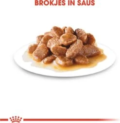 Royal Canin Shn Mini Ageing 12plus Pouch - Hondenvoer - 12x85 G 12 Royal Canin Shn Mini Ageing 12plus Pouch - Hondenvoer - 12x85 G -Hondenserie Winkel 1177x1200 1