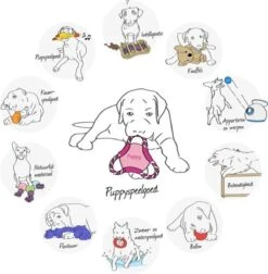 Trixie Dogtoy Dog Activity Strategy Game Gamble Box - Piepend Speelgoed - 15cm X 15cm X 9cm - Zwart/rood/oranje -Hondenserie Winkel 1178x1200 2