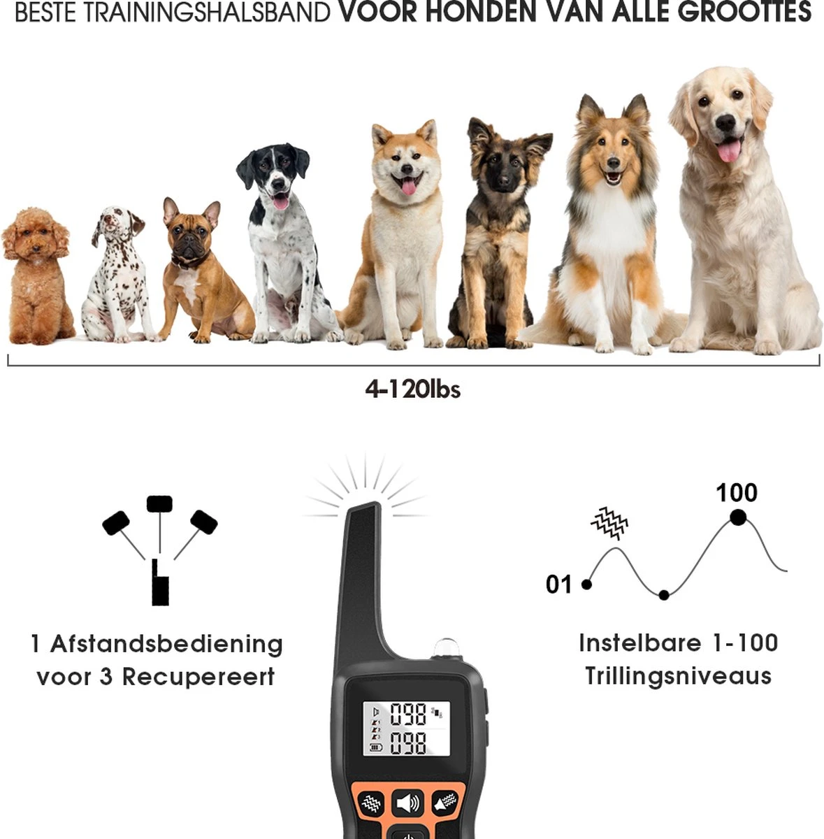 Anti Blafband EN Trainingshalsband In 1 - UNIEK SYSTEEM - 1000m Bereik - 100 Levels - Trainingsband - Antiblafband - Teletac - Geluid En Vibratie/trilling - Grote En Kleine Honden - Volledig Waterdicht - Anti Blafband 4 Anti Blafband EN Trainingshalsband In 1 - UNIEK SYSTEEM - 1000m Bereik - 100 Levels - Trainingsband - Antiblafband - Teletac - Geluid En Vibratie/trilling - Grote En Kleine Honden - Volledig Waterdicht - Anti Blafband - Afbeelding 2