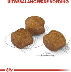 Royal Canin Medium Dental Care - 10 Kg 16 Royal Canin Medium Dental Care - 10 Kg -Hondenserie Winkel 1182x1200 2