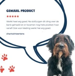 JC Pets Premium Pluizenborstel - Huisdierhaar Verwijderaar – Pluizenverwijderaar – Honden En Kattenhaar Verwijderaar - Ontpluizer - Pluizenroller 19 JC Pets Premium Pluizenborstel - Huisdierhaar Verwijderaar – Pluizenverwijderaar – Honden En Kattenhaar Verwijderaar - Ontpluizer - Pluizenroller -Hondenserie Winkel 1183x1200 5