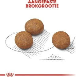 Royal Canin Maxi Puppy 4 KG 24 Royal Canin Maxi Puppy 4 KG -Hondenserie Winkel 1186x1200 2