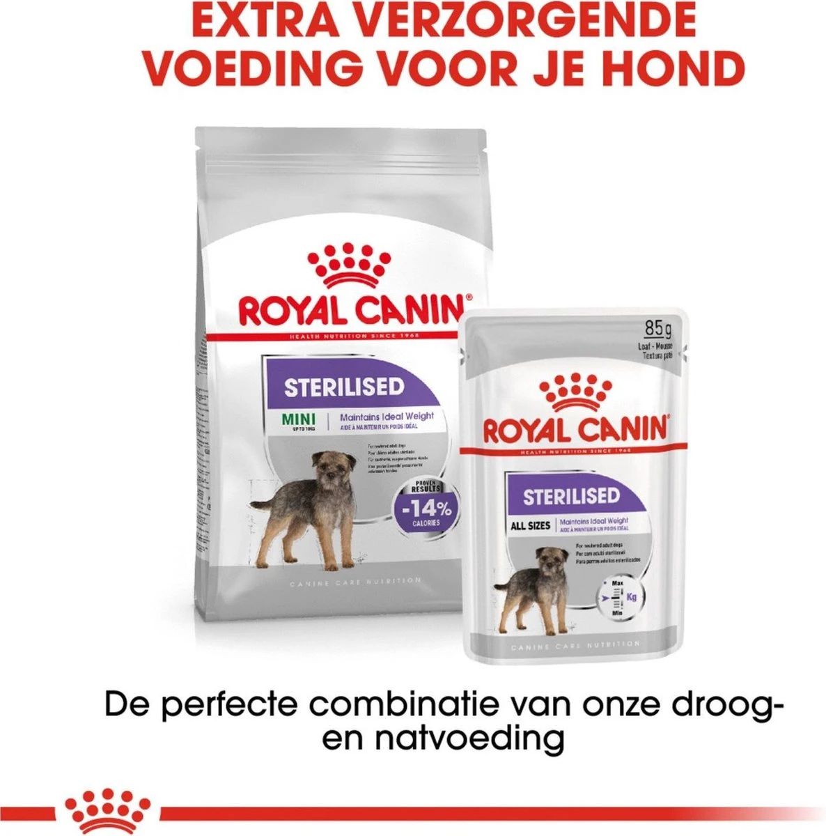 Royal Canin Ccn Sterilised Wet - Hondenvoer - 12x85 G 7 Royal Canin Ccn Sterilised Wet - Hondenvoer - 12x85 G - Afbeelding 5