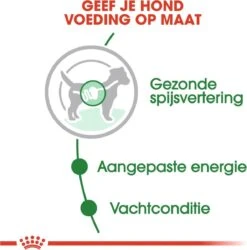 Royal Canin Shn Mini Adult Pouch - Hondenvoer - 12 X 85 G -Hondenserie Winkel 1187x1200 2