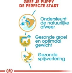 Royal Canin Labrador Retriever Junior 12 KG -Hondenserie Winkel 1187x1200