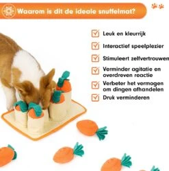 Premium Snuffelmat Voor Hond En Kat - Intelligentie Speelgoed - Snuffel Mat Puppy - IQ Hondenspeeltjes - Educatieve Training Huisdier - Snuffeltrainer Hondenpuzzel - Educatief Speelgoed - Vetalo 18 Premium Snuffelmat Voor Hond En Kat - Intelligentie Speelgoed - Snuffel Mat Puppy - IQ Hondenspeeltjes - Educatieve Training Huisdier - Snuffeltrainer Hondenpuzzel - Educatief Speelgoed - Vetalo -Hondenserie Winkel 1189x1200