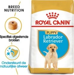 Royal Canin Labrador Retriever Junior 12 KG -Hondenserie Winkel 1193x1200