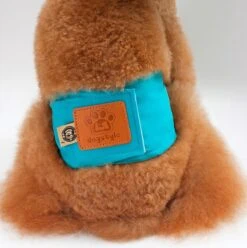 Merkloos Hondenluier Voor Kleine Hond - Luier Voor Reu - Buikband Maat S 27 Cm X 25 Cm 9 Merkloos Hondenluier Voor Kleine Hond - Luier Voor Reu - Buikband Maat S 27 Cm X 25 Cm -Hondenserie Winkel 1194x1200 11