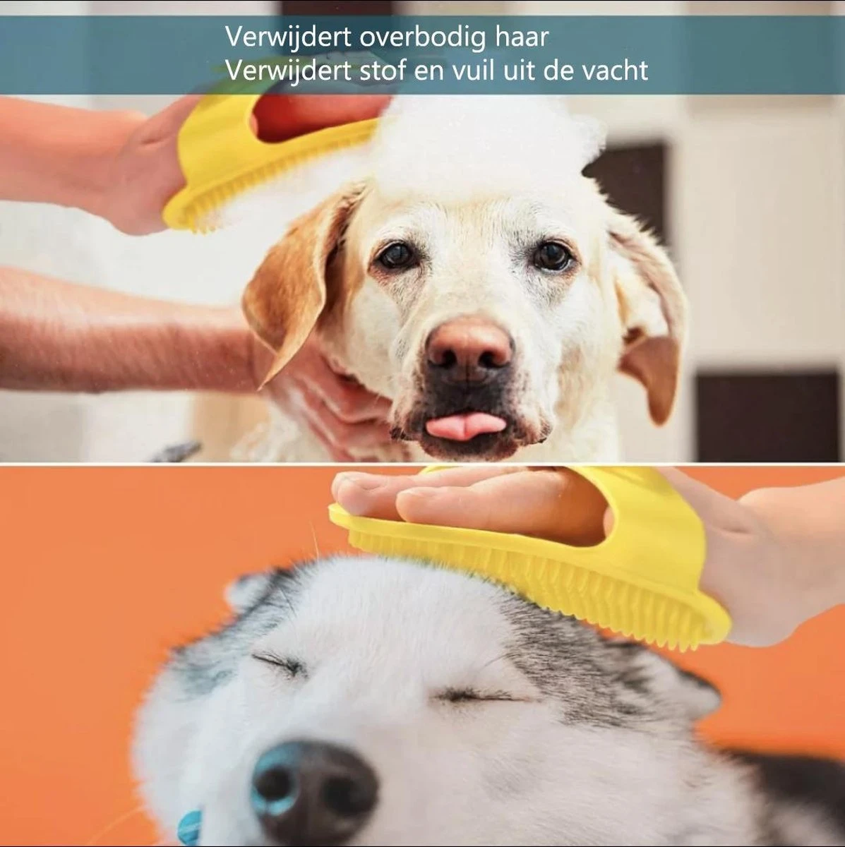 Reayou Kattenmand - Kattenkussen - Kattenbed Hondenkussen - Hondenmand - Grijs- 51 X 61 Cm 5 Reayou Kattenmand - Kattenkussen - Kattenbed Hondenkussen - Hondenmand - Grijs- 51 X 61 Cm - Afbeelding 3